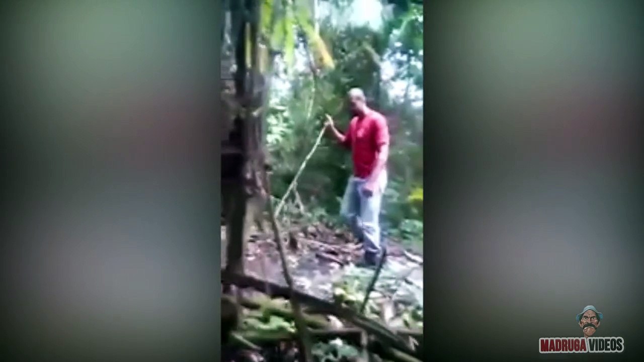 Bombeiro se assusta com onça