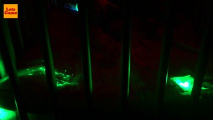 Играем со Светящимися Мячами - Playing with Luminous Balls