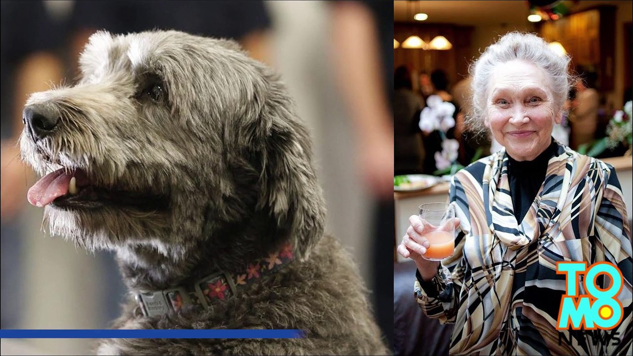 Hero dog helps family rescue 82-year-old, Russi...