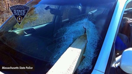 Woman Miraculously Survives After Wooden Post Impales Her Windshield