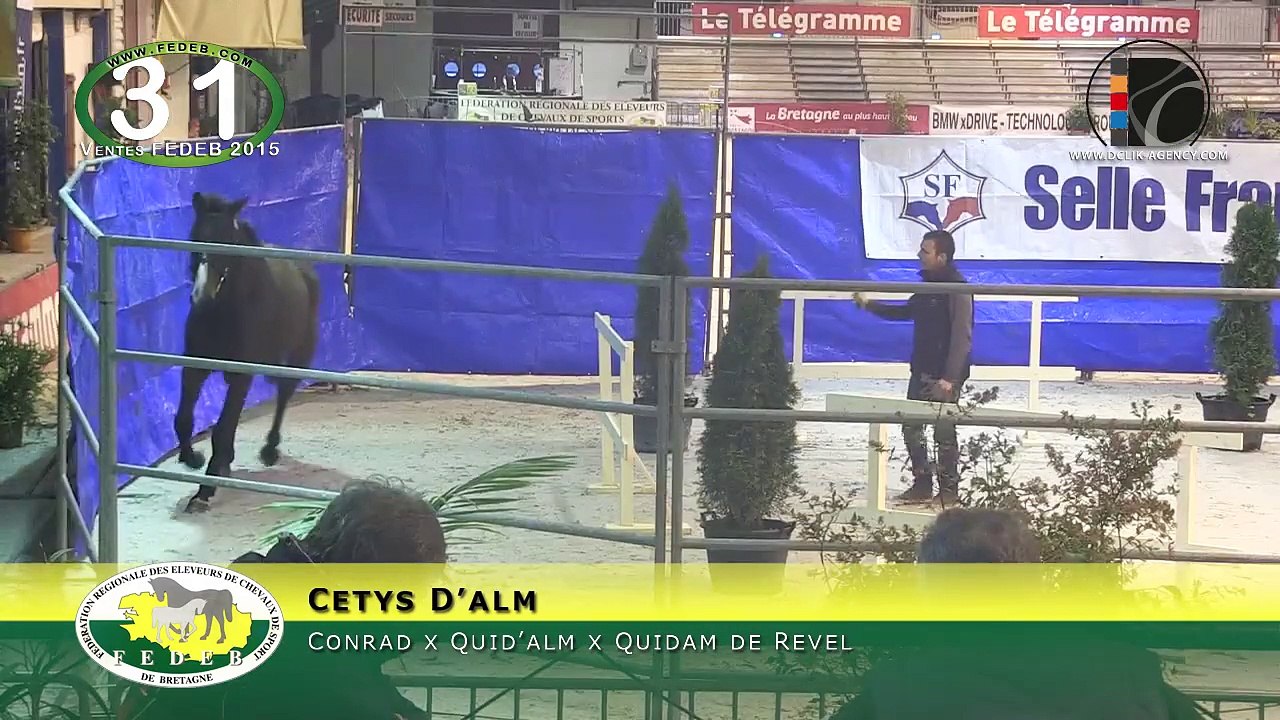 31-Cetys d Alm