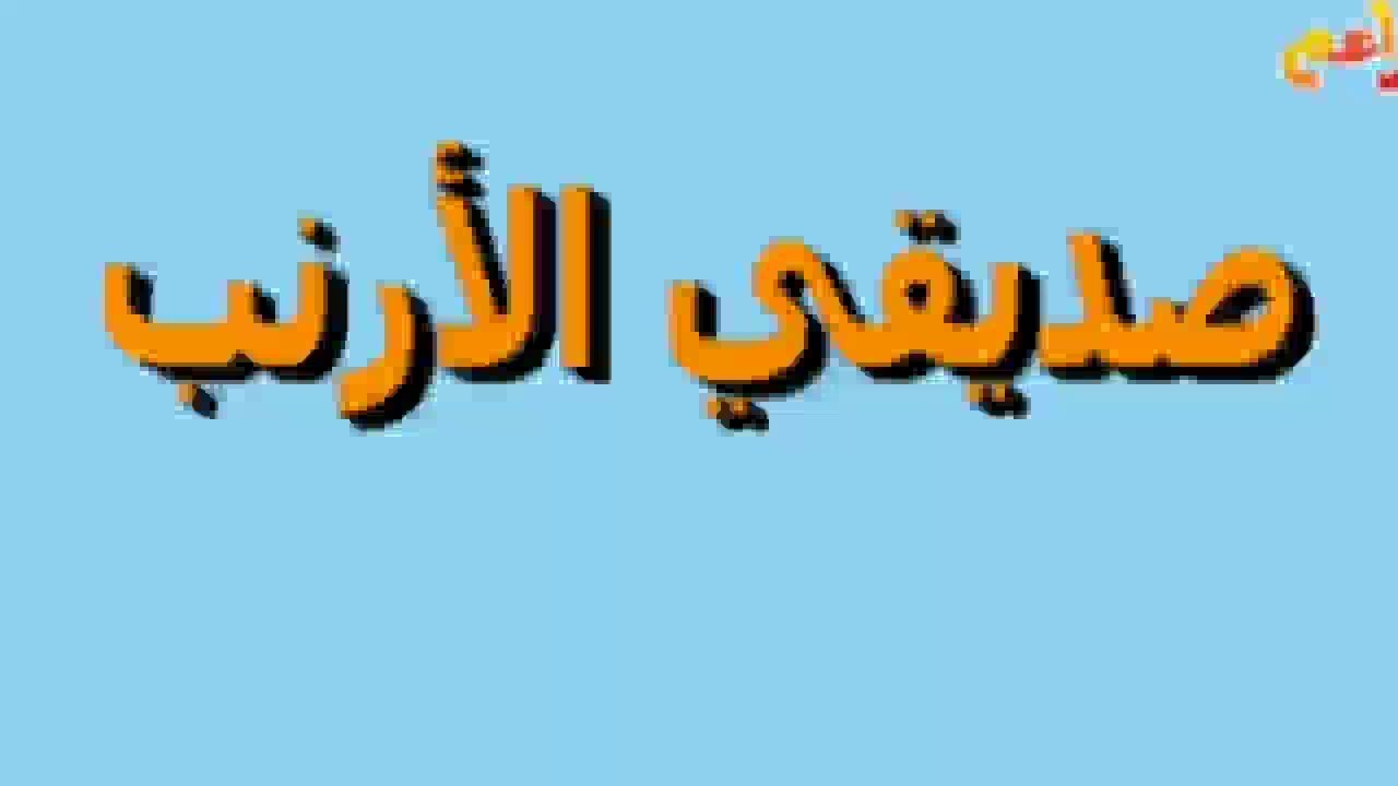 براعم صديقى الارنب - تبادل الادوار