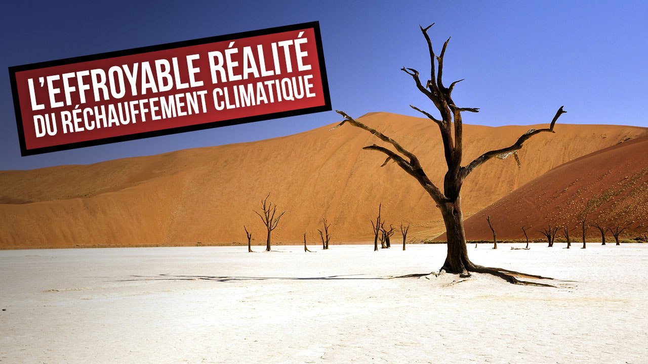L'effroyable réalité du réchauffement climatique - DES CHIFFRES ET LE MONDE