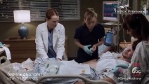 Grey's Anatomy 12x06 Sneak Peek  #2 -  Season 12 Episode 6 Sneak Peek  #2