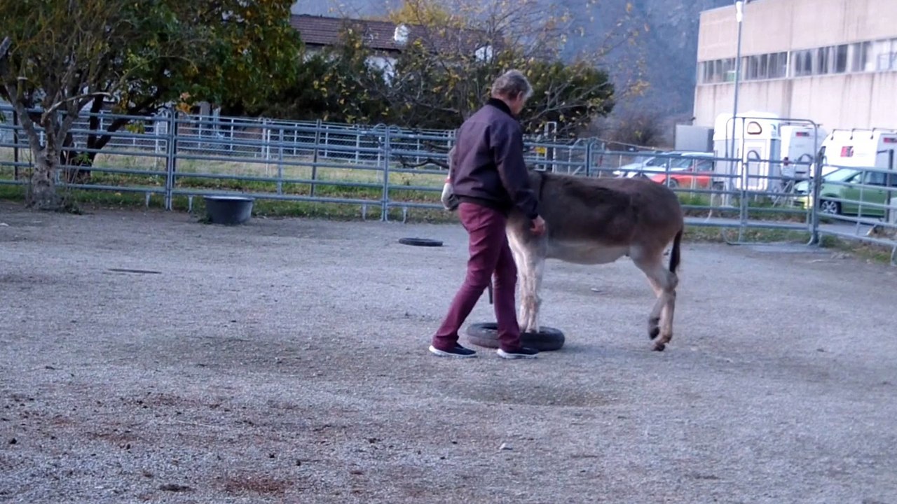 Exercices 13 niv 3, un tour les pieds dans le pneu, Merlin