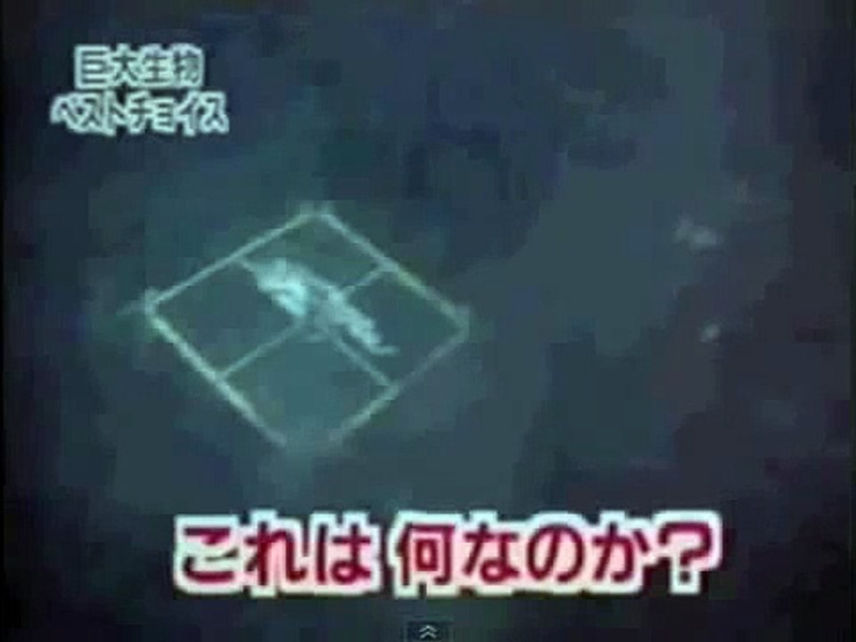 Megalodon Sharks still lives! Evidence MEGALODON is not extinct. 2014