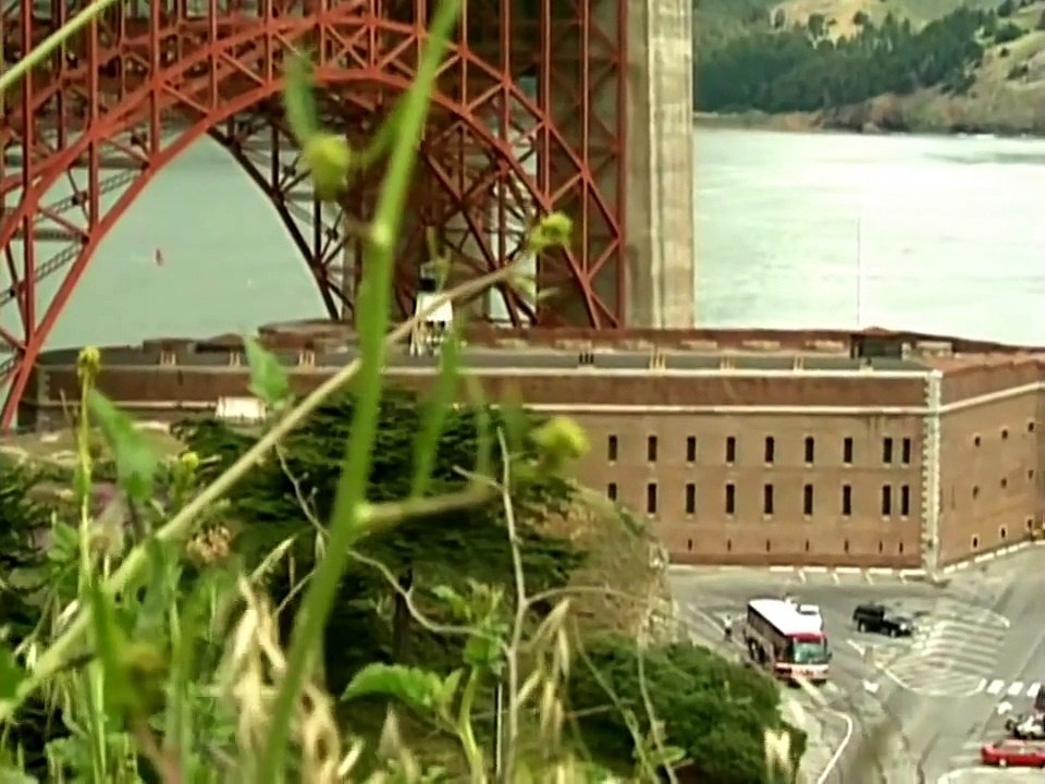 The Golden Gate Bridge Suicides