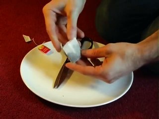 10 More Amazing Science Stunts (3)