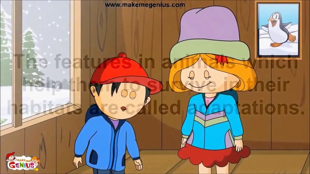 Adaptations of the Camels ( desert animals) -For Kids