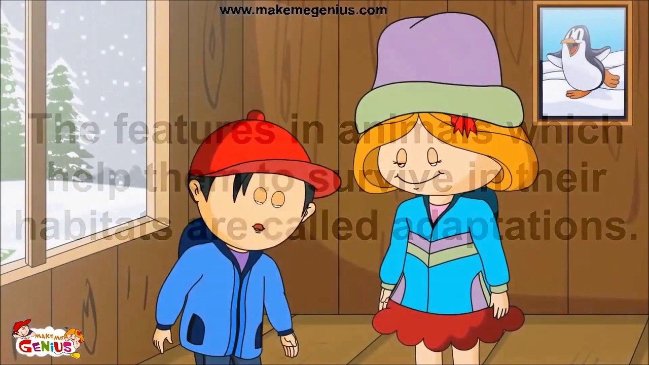 Adaptations of the Camels ( desert animals) -For Kids