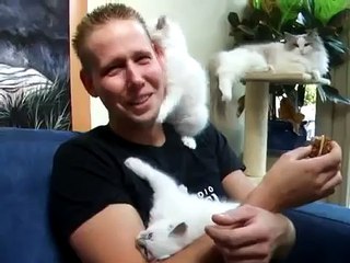 Que Lindo Abrazo De Mi Gato! ★ humor gatos - video divertido gatos chistosos risa gato