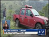 Incendio forestal consumió 500 hectáreas de pajonales