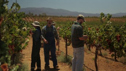 La junk food pousse sur les plantes avec Nick Offerman
