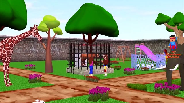 Finger Family Rhymes By Lion Cartoons Wheels On The Bus And Hot Cross Buns Children Nurser