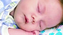 Efecto Mozart (Música clasica para bebés) - Larga Duracion - Para dormir y calmar al Bebé #