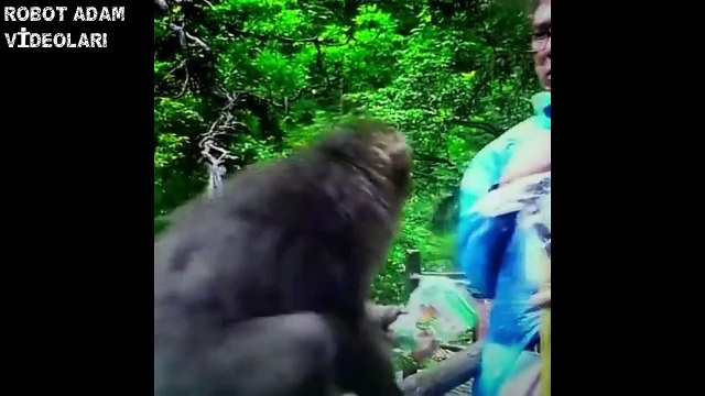 Tayfun Yılmaz 2015 Yılındaki Tüm Vineları (HD)