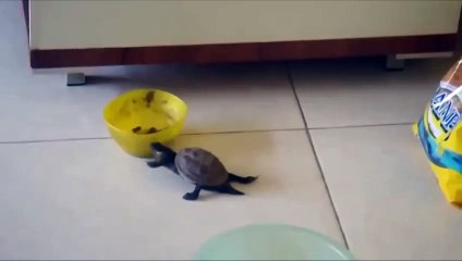 Пока их никто не видит))) СУПЕР)))