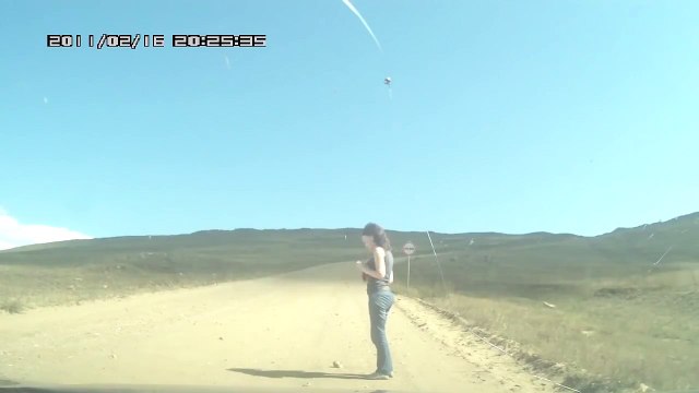 Толстый суслик застрял в норе на дороге — смотрите бесплатно самые смешные видео