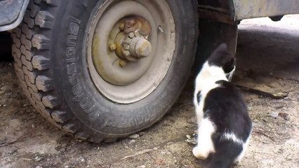 Том и Джерри (русская беспощадная версия)