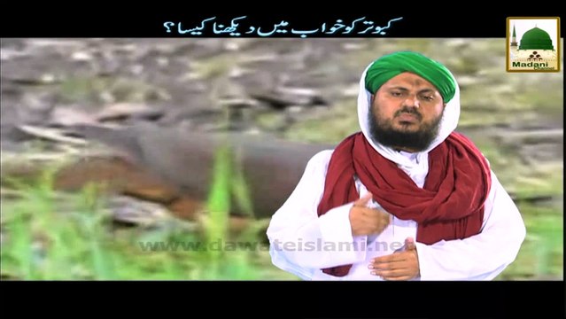 Madani Guldasta 50 - Iddat Main Madani Chennal Dekhna Kesa