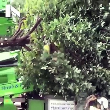 واہ یار کیا ٹیکنالوجی ہے