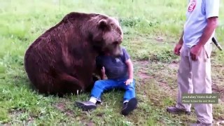Meanwhile in Russia 2013 Man vs Bear