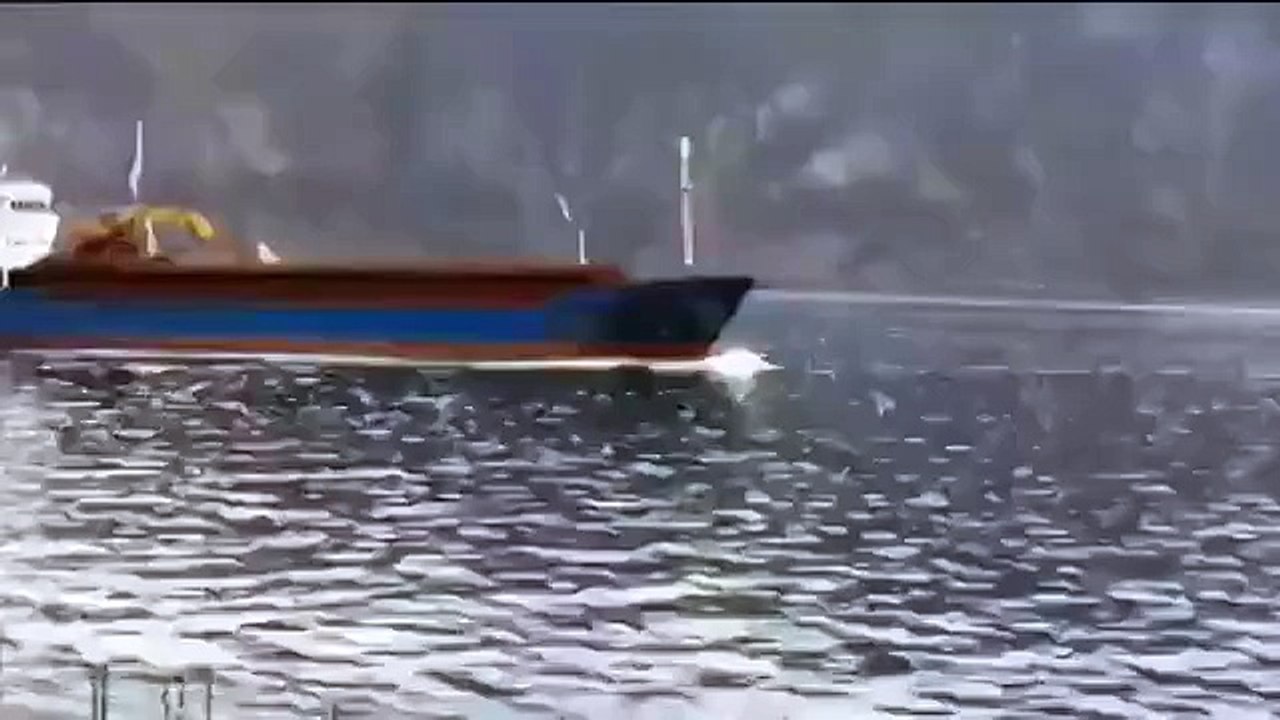 Нива плывет видео