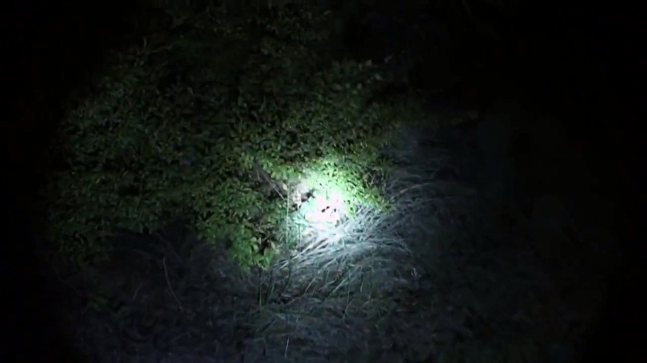 DEMONIC possession Selling my SOUL to SATAN! part 7