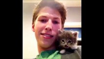 Katzen Video Lustige Katzen Videos in nur einer Compilation !!! #1