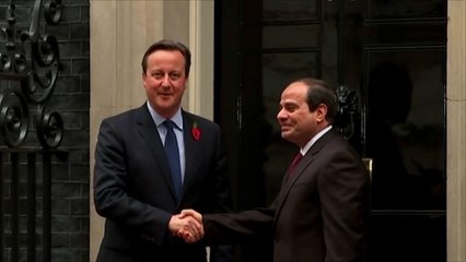 حادث الطائرة الروسية يؤثر سلبا على زيارة السيسي للندن