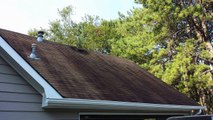 Soft Wash Roof Cleaning_Black Algae Removal_Newnan_Peachtree_Fairburn_Sharpsburg