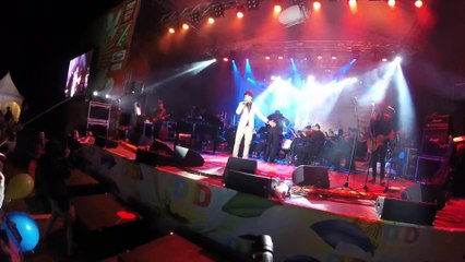 «Давай друг друга украдем» А.Бон (DDD Fest, Атепцево, 18.07.2015) (Елена Зуйкова)