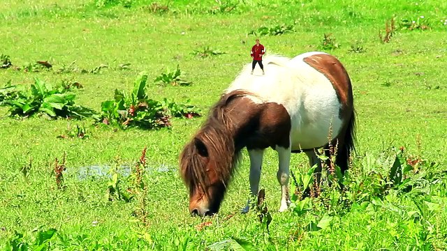 THE SNACK RAP ft. Mix Master Meat (Hot Pockets Snack Bites Song)