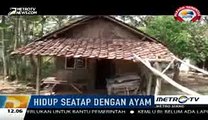 Miris, Nenek 70 Tahun Ini Hidup Seatap dengan Hewan Ternaknya ~ Berita Terbaru Hari Ini