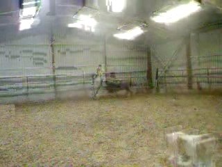 Tournesol aspirine lina