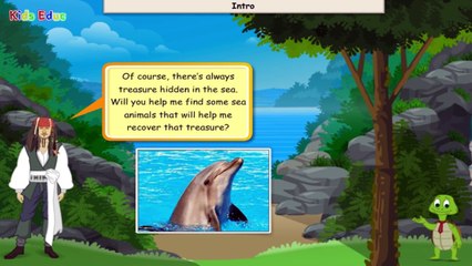 Ways Animals Move Quiz for Kids