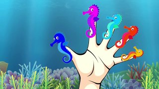 Finger Family Song SEA HORSE Family | Animated Surprise Eggs | Nursery Rhymes | Songs for