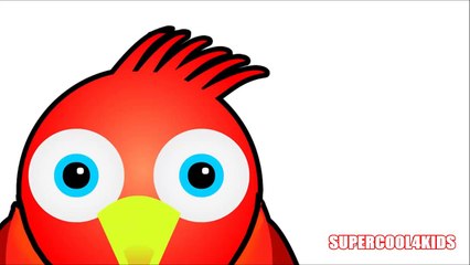 Animal sounds for kids Sonidos de animales para niños cat & dog