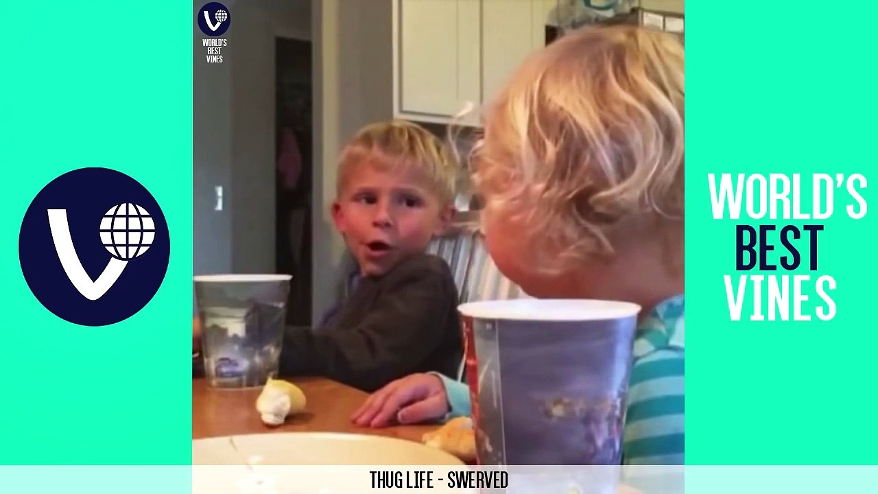 NEW BEST VINES OF FEBRUARY 2015 (Part 9) | FEBRUARY 2015 VINE COMPILATION | NEW VINES