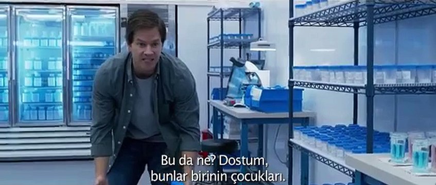 AYI TEDDY 2 - Türkçe Altyazılı İlk Fragman