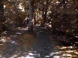 TAEDIUM VITAE featuring BARON DELATOUR obscurité 2015