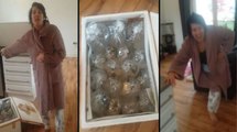 Mom Orders Table And Chair From eBay And Gets 40 Fish Instead