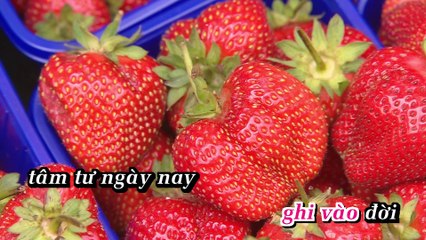 [ Karaoke HD 4 K] Hợp Khúc Tình Yêu 1 - Randy ft. Mỹ Huyền ft. Chung Tử Lưu_(Thanh Sơn)
