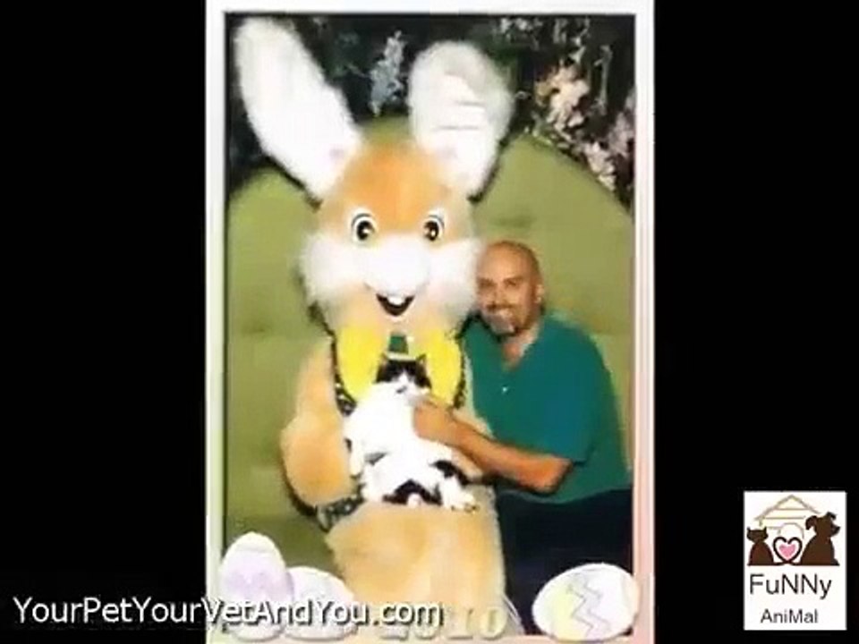 Awkward Family Photos Worlds Weirdest Pet Photos _ Funny Videos 2015