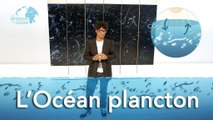 L’océan plancton - Les dessous de l'Océan 1x03