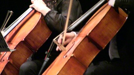 TRAKYA ODA ORKESTRASI (9)