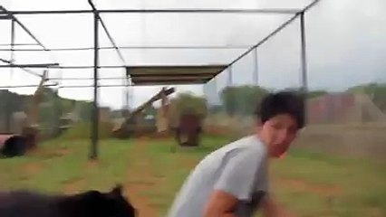 Leopards are really just big cats.