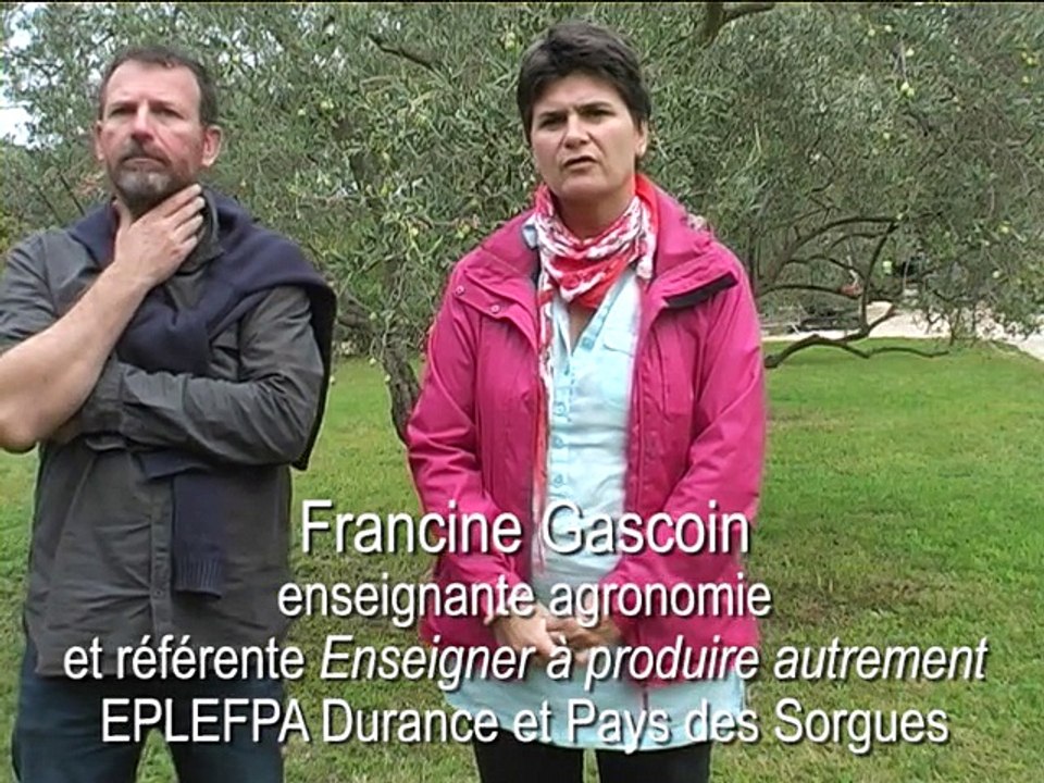 carpentras2015