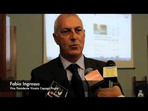 Intervista a Fabio Ingrosso - Vice Presidente Vicario Copagri Puglia