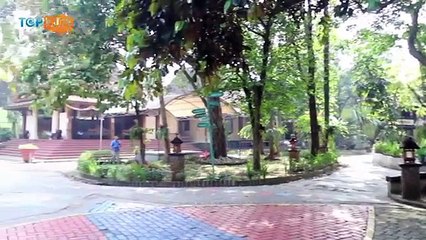 Kite Layang-Layang Indonesia